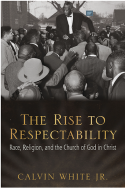 The Rise to Respectability book cover