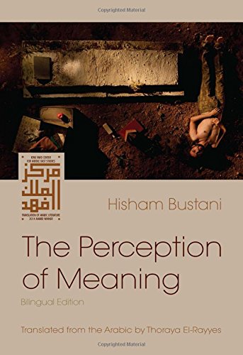 Book Cover - The Perception of Meaning