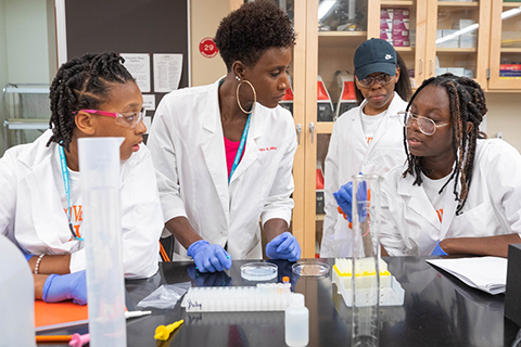 The Science Education Partnership Award program awarded the U of A $1.25 million to support STEAM education (science, technology, engineering, art and math) for underrepresented students.