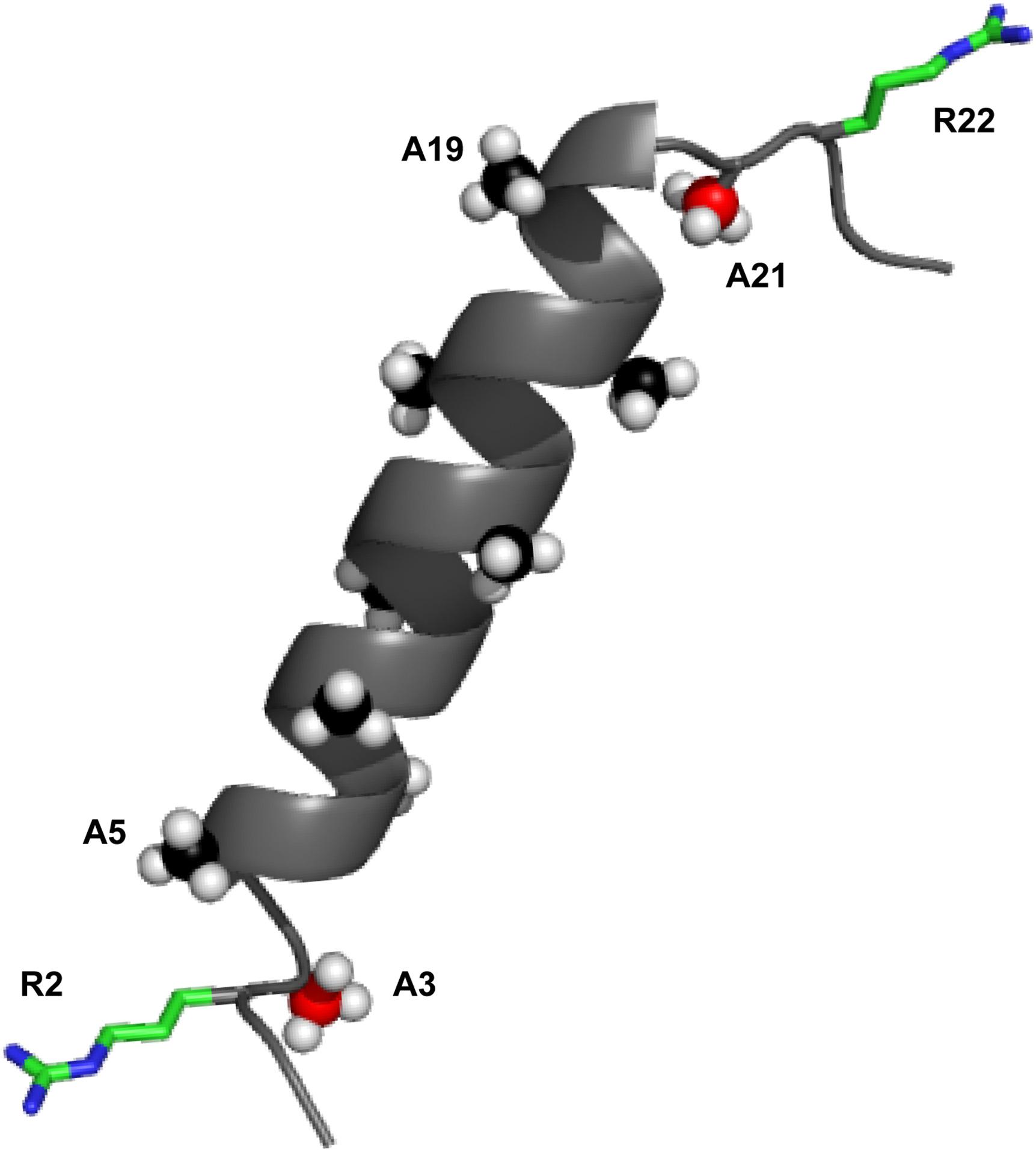 pymol peptide backbone alignment